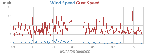 yearwind